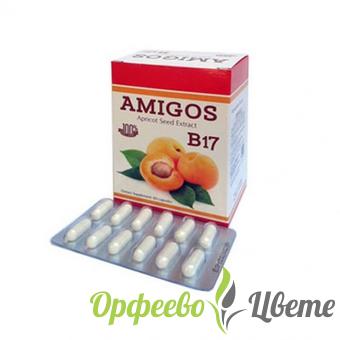 ХРАНИТЕЛНИ ДОБАВКИ Антиоксиданти АМИГОС АМИГДАЛИН B17 капсули 100 мг * 60 ДР. ГРИЙН